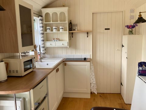 Kitchen or kitchenette, minibar, stove