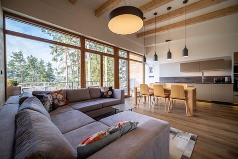 Kitchen or kitchenette, Living room, Seating area, Dining area