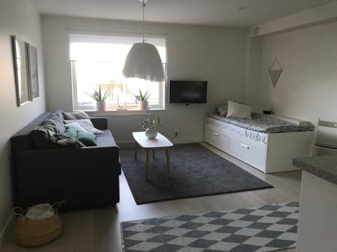 Property building, Living room, Photo of the whole room, Bedroom