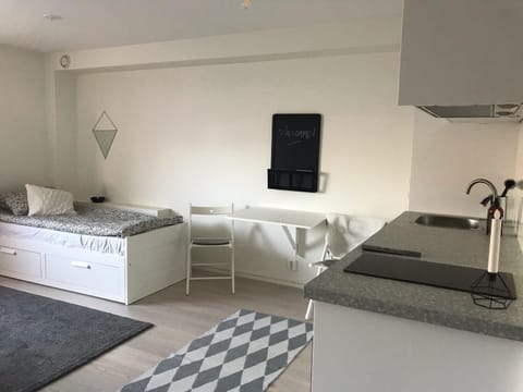 Mysig studiolägenhet i Västra Göteborg Apartment in Gothenburg