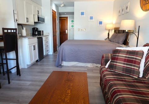 Snowshoe Mountain Studio! Renovated! Apartment in Snowshoe