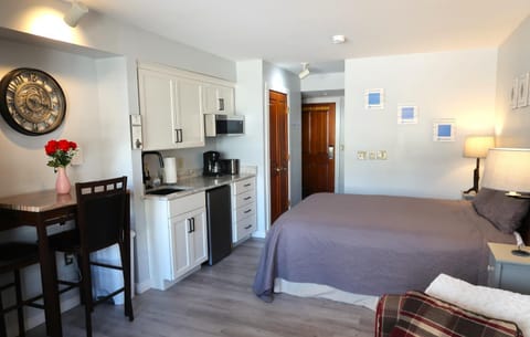 Snowshoe Mountain Studio! Renovated! Apartment in Snowshoe