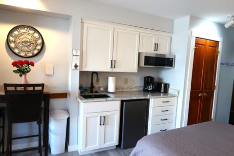 Snowshoe Mountain Studio! Renovated! Apartment in Snowshoe