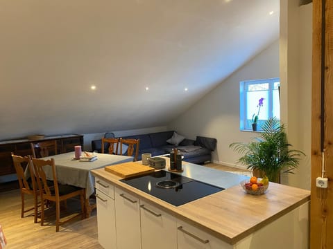 Kitchen or kitchenette, Dining area, kitchen