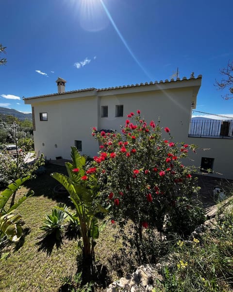 Off site, Garden