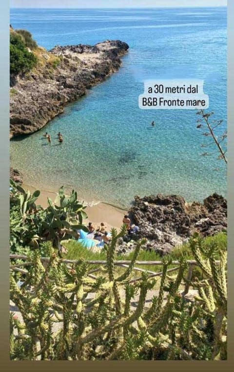 Nearby landmark, Natural landscape