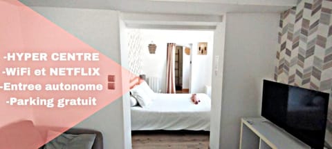 Le Cocon - studio Centre ville tout équipé Apartment in Bourges