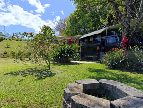 Patio, Natural landscape, Garden, Garden view