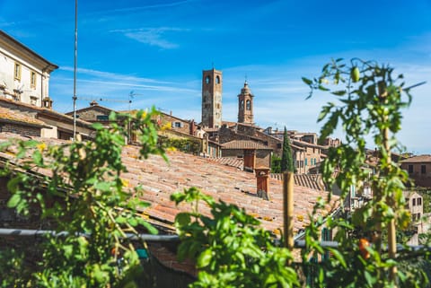 City view, Landmark view