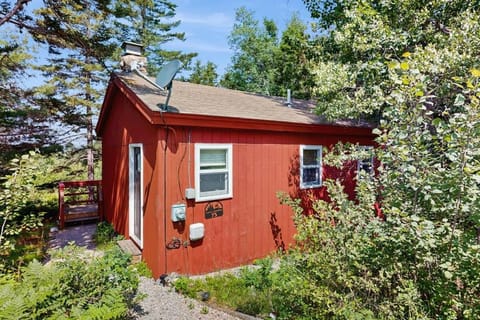 Property building, Day, Garden