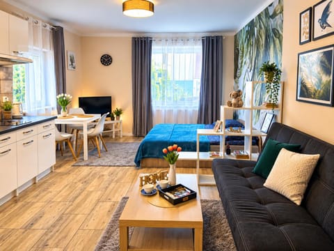 TV and multimedia, Kitchen or kitchenette, Living room