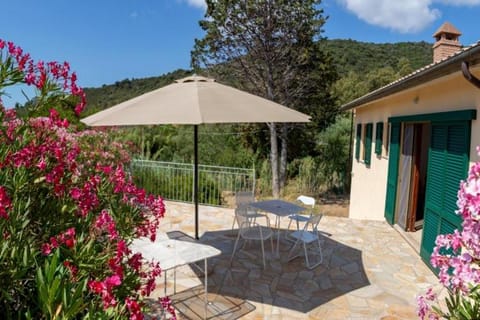 Patio, Facade/entrance