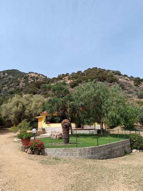 Villa Magnolia House in Sardinia