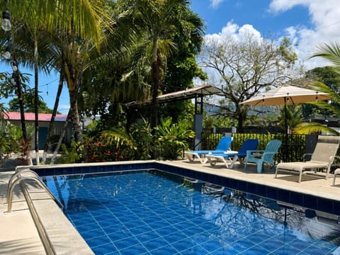 Garden, Garden view, Swimming pool