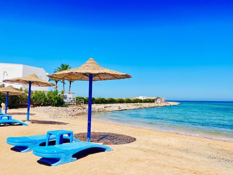 Natural landscape, Beach, Sea view, sunbed