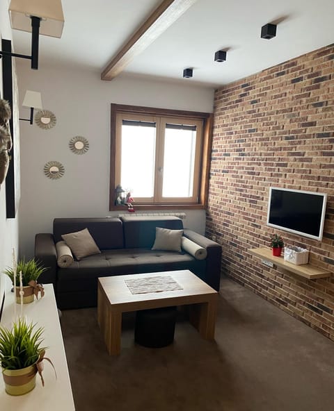 Apartman Sky View, Župa Wellness & Spa u Centru Kopaonika Apartment in Serbia