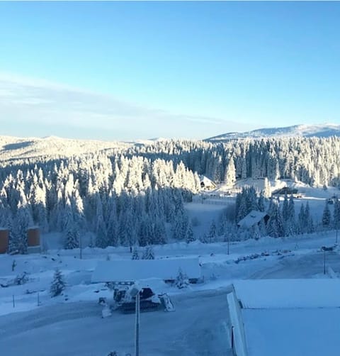 Apartman Sky View, Župa Wellness & Spa u Centru Kopaonika Apartment in Serbia
