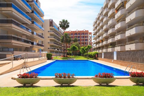 Summer, Garden, Swimming pool, Swimming pool