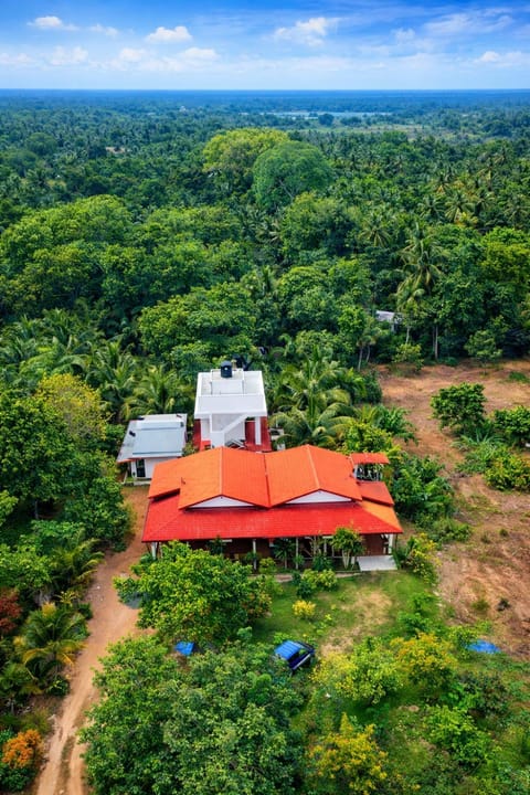 Property building, Day, Natural landscape