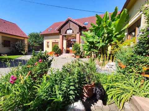 Property building, Spring, Day, Garden, Garden view