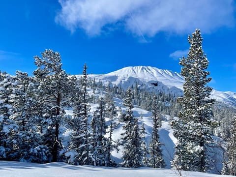 Natural landscape, Winter, Location