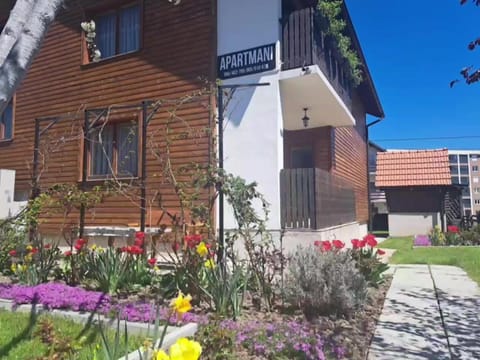 Property building, Garden view