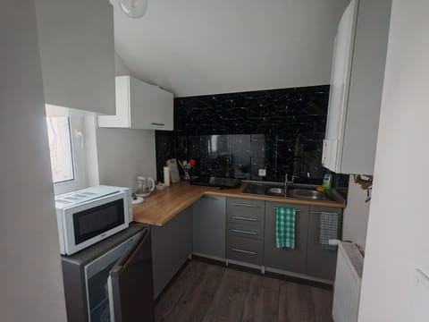 Kitchen or kitchenette, oven, stove