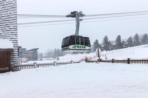 The Queens Slopeside Hideaway Apartment in Jay