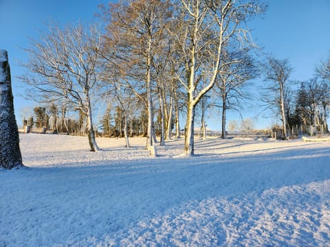 Natural landscape, Winter