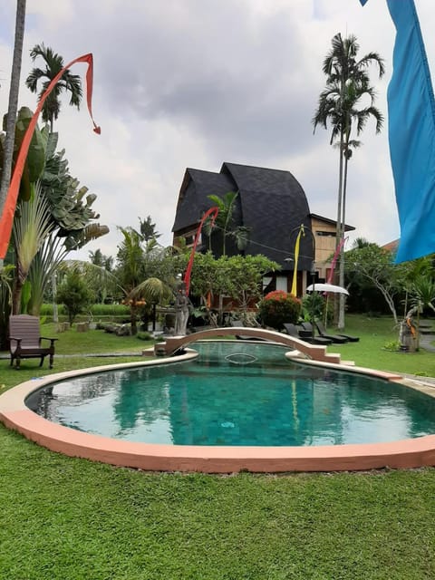 Swimming pool, sunbed