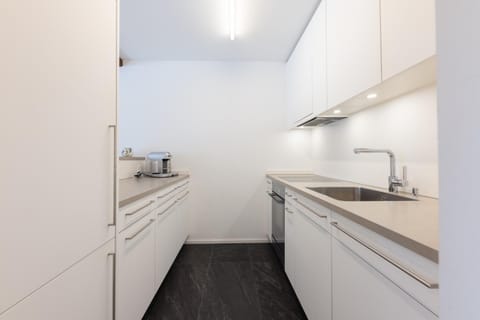 Modern crossing apartment facing Piz Rosatsch Apartment in Saint Moritz