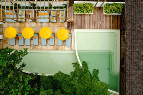 Spring, Day, Garden, Garden view, Pool view, Swimming pool