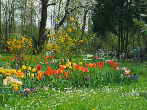 Natural landscape, Garden, Garden