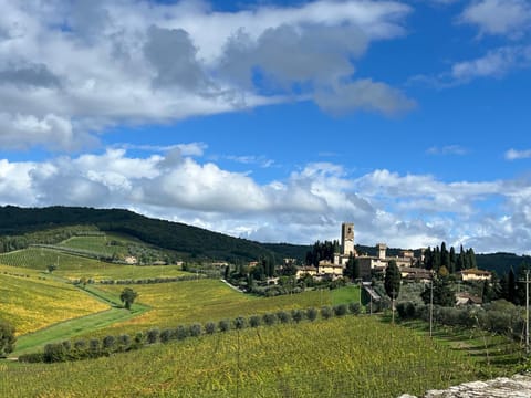 Il Fiorino di Badia Apartment in San Casciano Val Pesa
