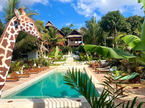 Natural landscape, Garden, Pool view, Swimming pool