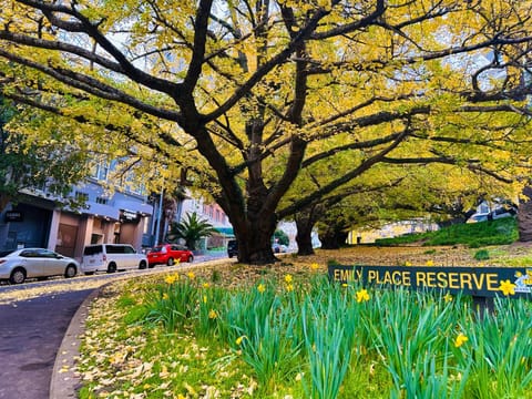 Property building, Billiard, Garden