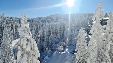 Day, Natural landscape, Winter, Mountain view