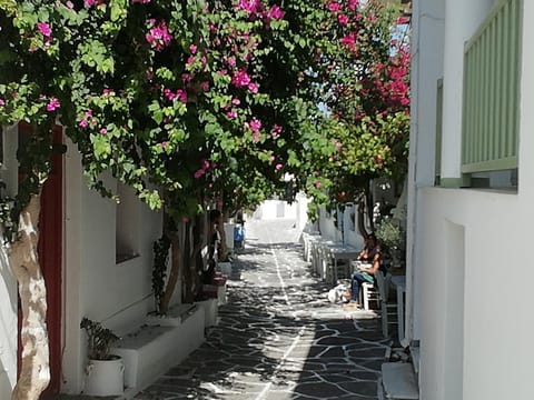 Facade/entrance, Street view