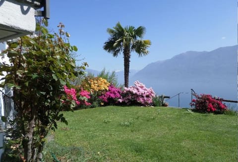 Garden, Balcony/Terrace