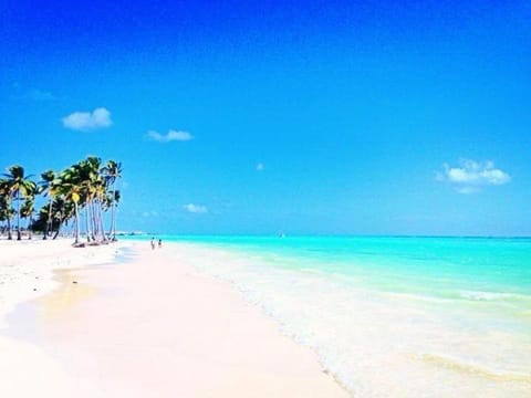 Nearby landmark, Natural landscape, Beach
