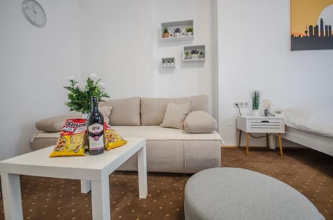 Victorian Apartment in Sarajevo