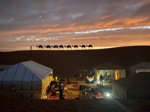 Night, People, Sunrise, Sunset, group of guests
