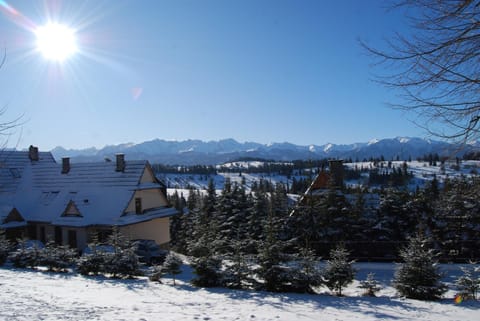 Property building, Natural landscape, Winter, View (from property/room), Garden view, Landmark view, Mountain view