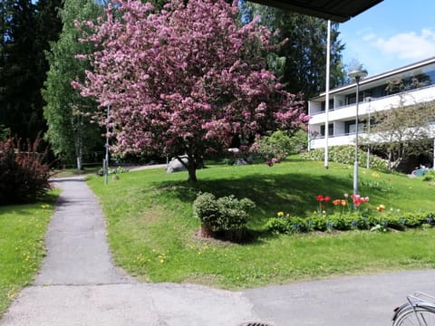 Garden, Inner courtyard view