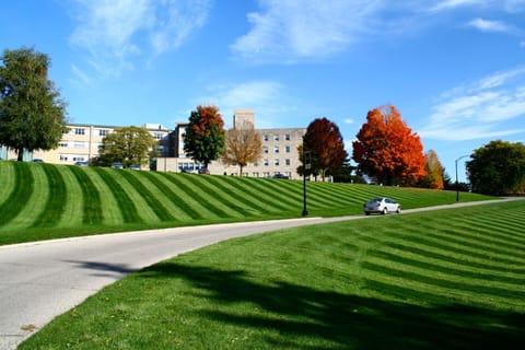 Natural landscape, Garden