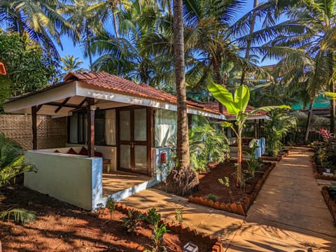 Property building, Garden, Garden view