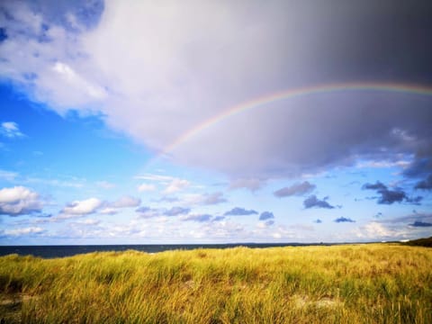 Natural landscape