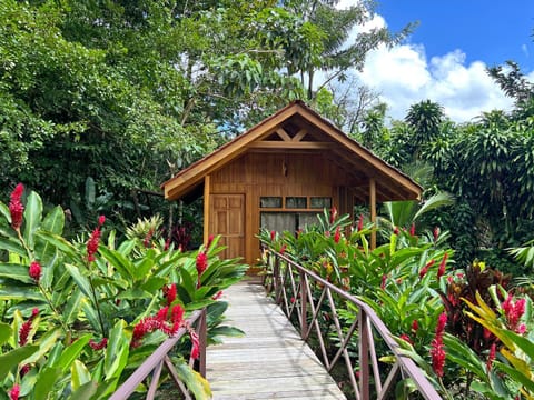 Off site, Natural landscape, Summer, Garden