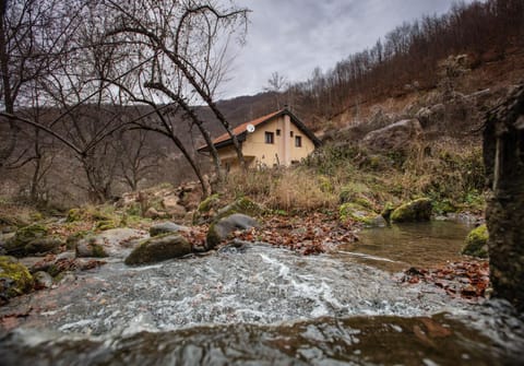 Vila Nada Bed and Breakfast in Serbia