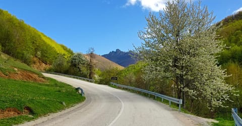 Vila Nada Bed and Breakfast in Serbia